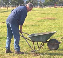 removing droppings from pasture help to keep worm counts low