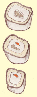 illustration of horse molars