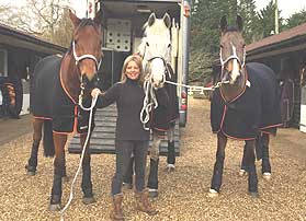 Horses at Brookfield Equestrian - Warfield, Berkshire