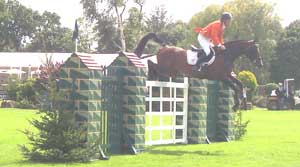 Horses can be insured for top level showjumping