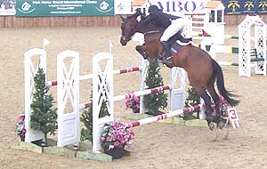 Competition mixes can improve jumping performance