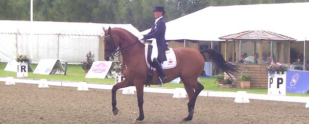 A well fitting saddle is essential for top performance in dressage