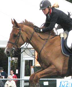 A running martingale is often used on horses for show jumping